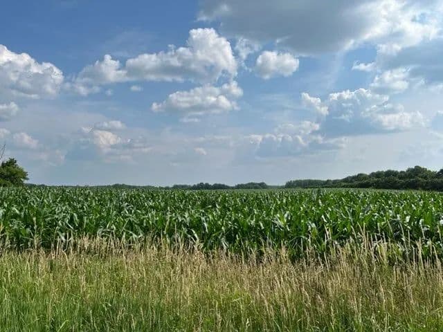 Prime Residential Development Land - West Parcel 41.51 Ac - Pine City, Minnesota, 55063