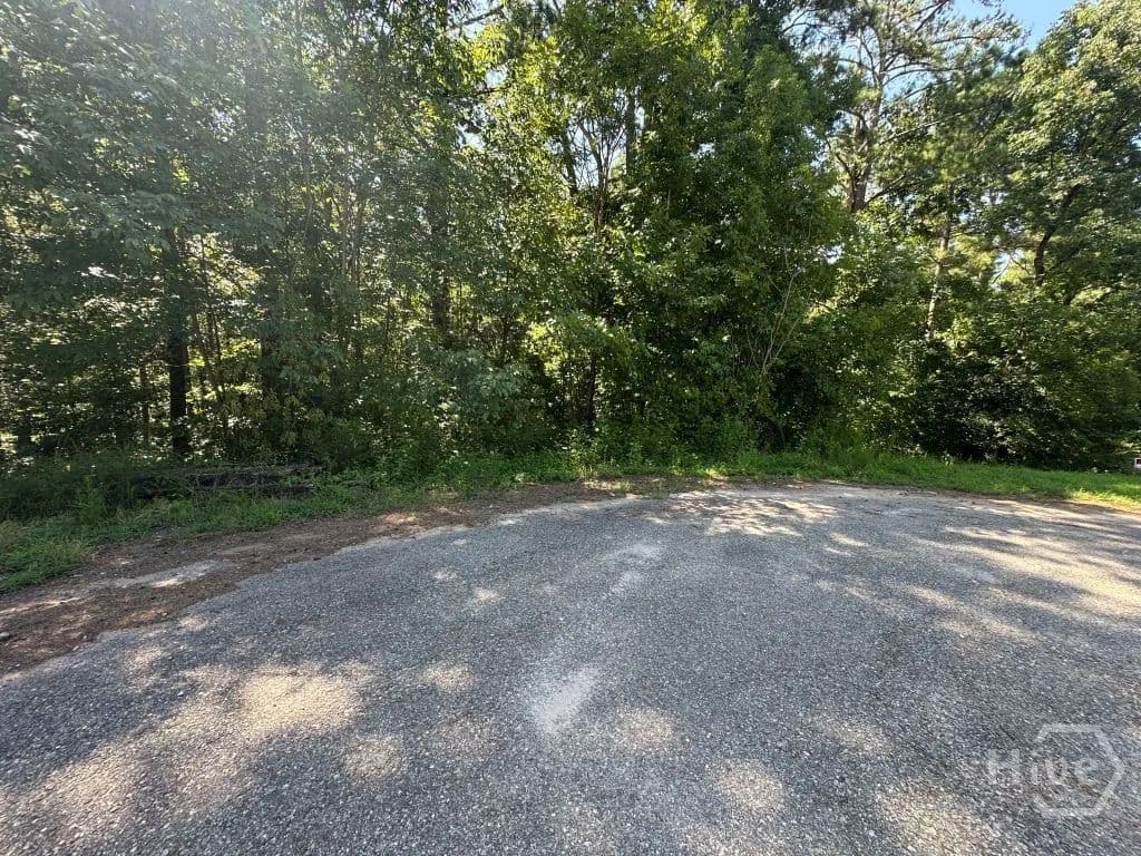 Vacant Land in Carlton - Carlton, Georgia, 30627