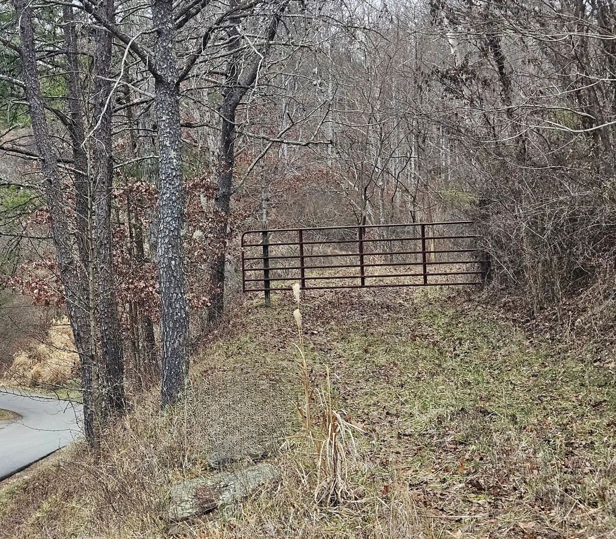 Vacant Land (10+ Acres) in Milton - Milton, West Virginia, 25541