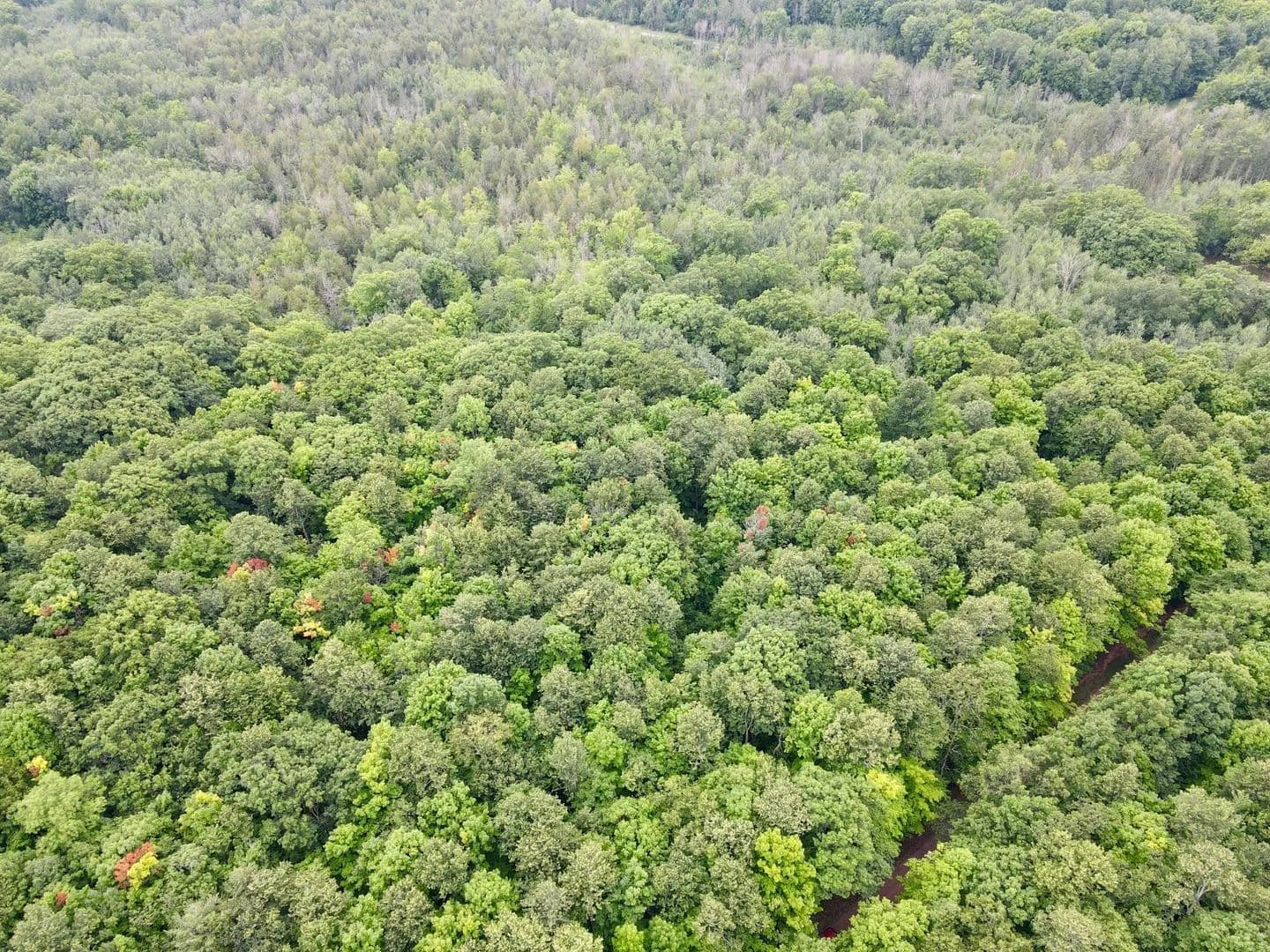 Vacant Land (0-10 Acres) in Gleason - Gleason, Wisconsin, 54442