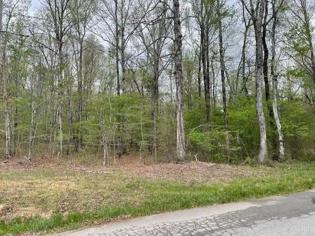 Lots & Land-Other in Alexander - Alexander, Arkansas, 72002