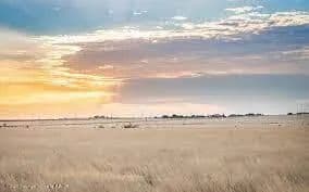 Property from 14600 E Farm To Market Rd 1151 - KW