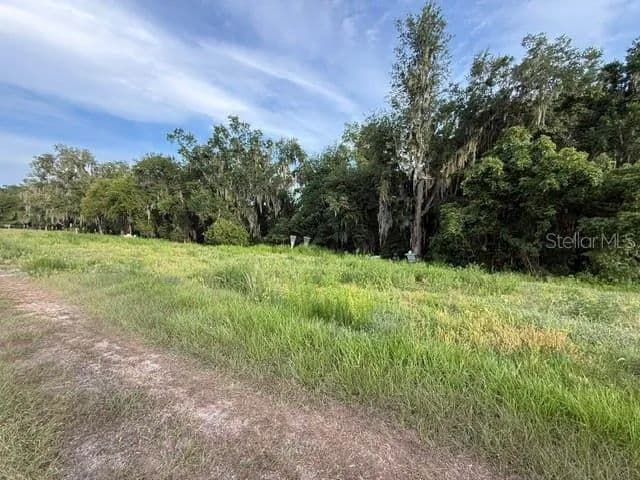 12.83 Acres of Land for Sale in FORT MEADE, FL - Fort Meade, Florida, 33841