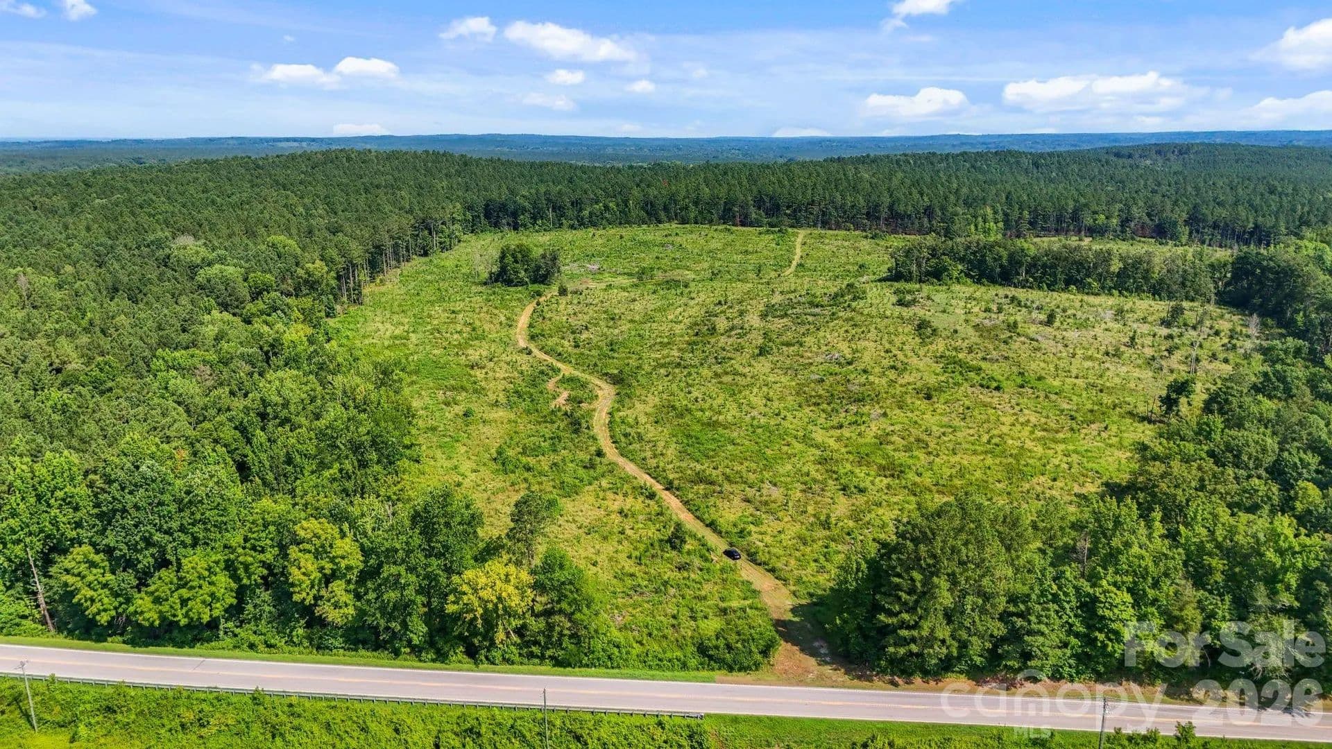 54 Acres of Land for Sale in Carlisle, SC - Carlisle, South Carolina, 29031