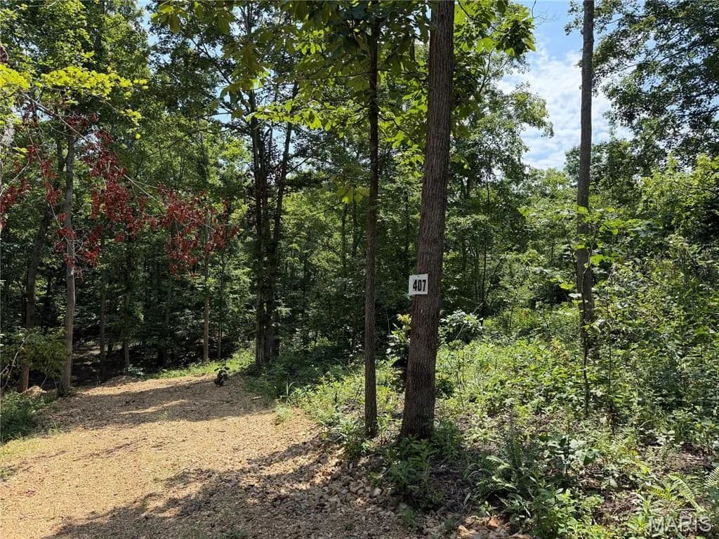 Lots & Land-Other in Fredericktown - Fredericktown, Missouri, 63645