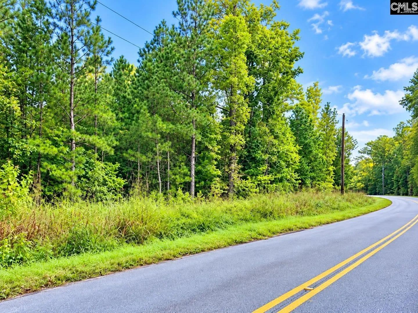 Vacant Land in Prosperity - Prosperity, South Carolina, 29127