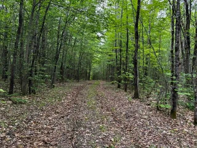 36.5 Acres of Land for Sale in Athens, Maine - land for sale