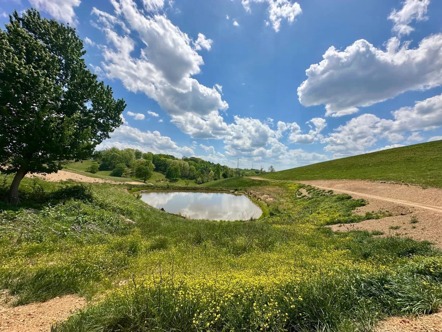 Land -Single Family Acreage in London - London, Kentucky, 40741