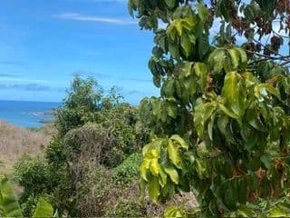 Vacant Land in St David - land for sale