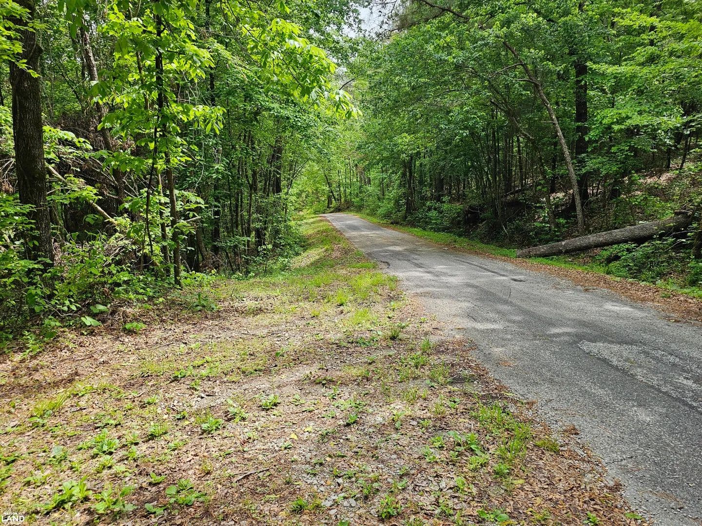 Hamilton Recreation and Undeveloped Property - Hamilton, Alabama, 35570