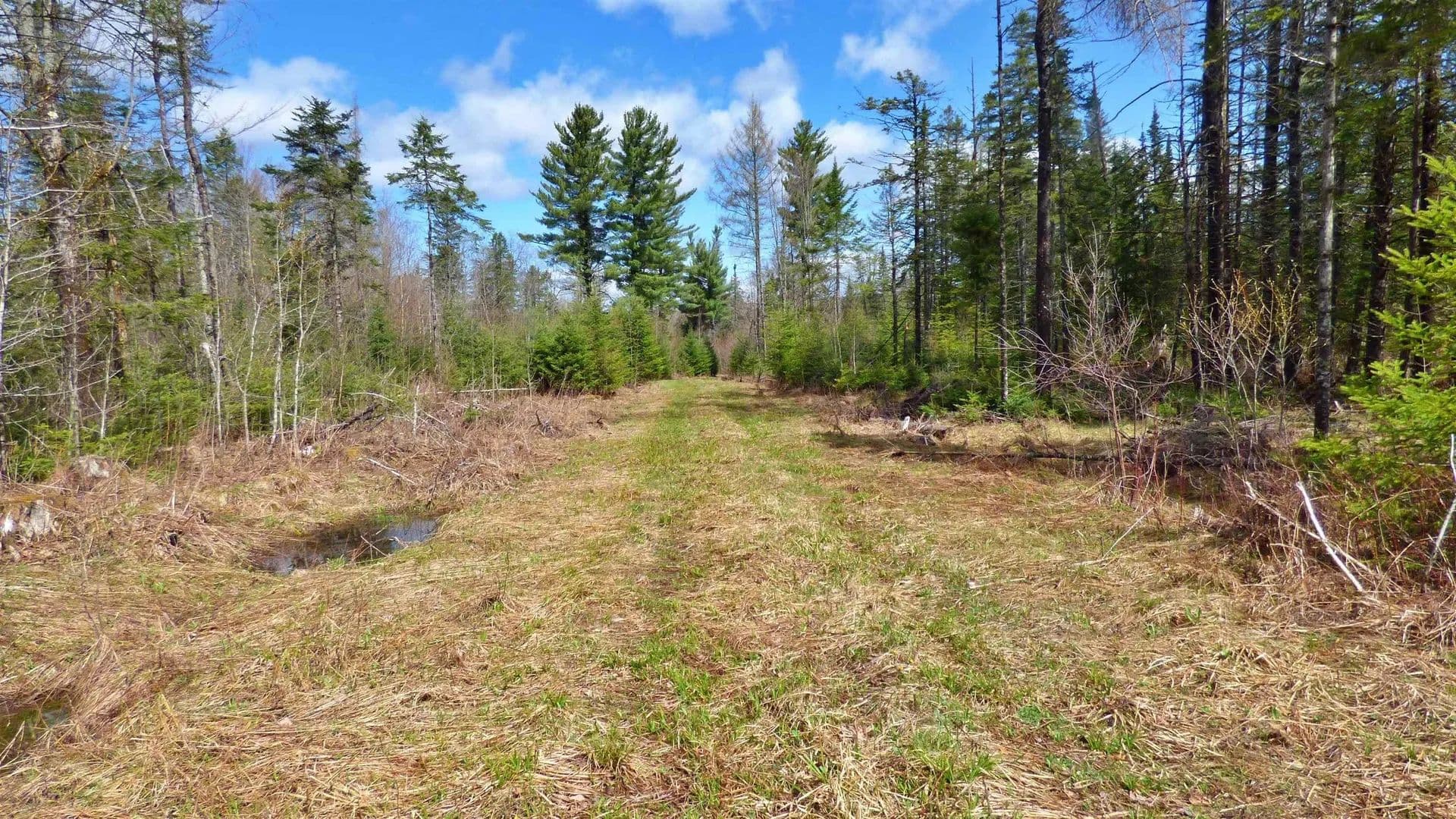 Lots & Land-Other in Wheelock - Wheelock, Vermont, 05851