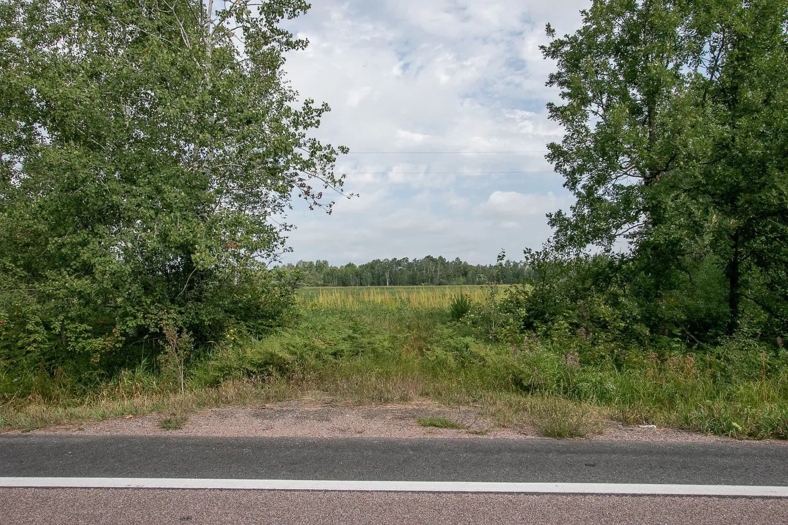 Land -Agricultural (Not Zoned) in Aitkin - Aitkin, Minnesota, 56431