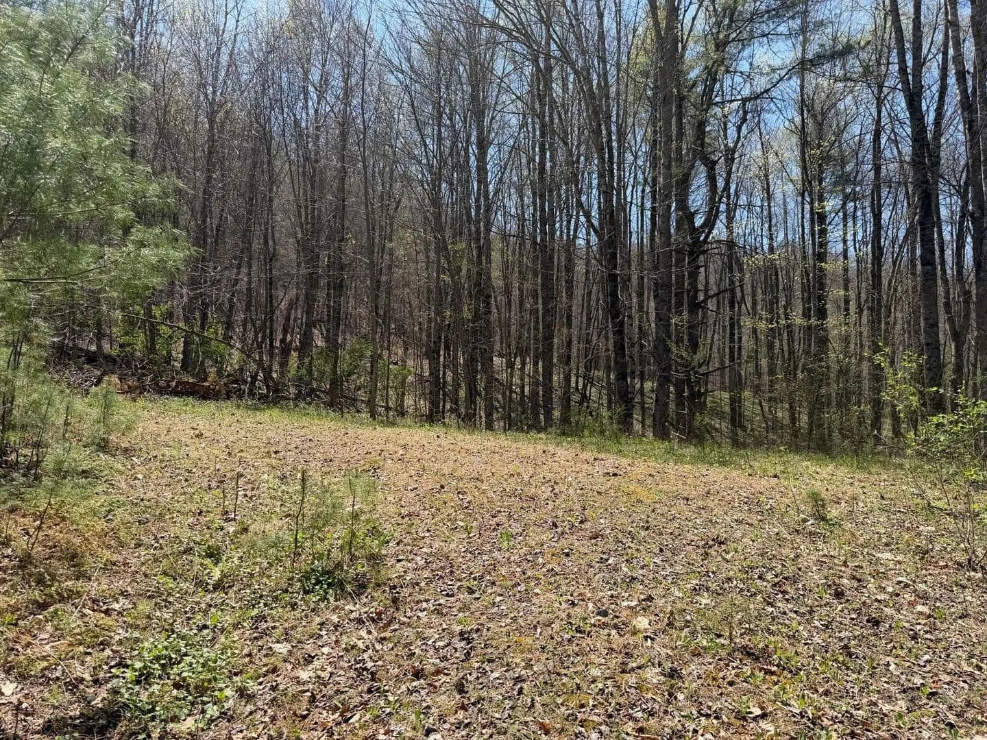 Lots & Land-Other in Meadow Bridge - Meadow Bridge, West Virginia, 25976