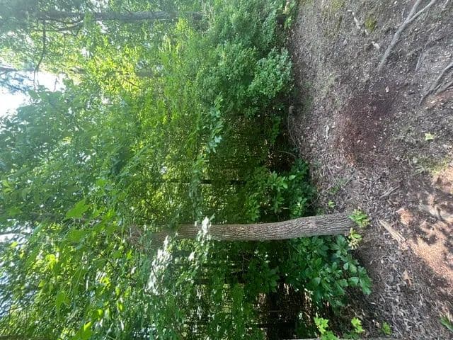 Property from 0 Point Road - KW - Westminster, South Carolina, 29693