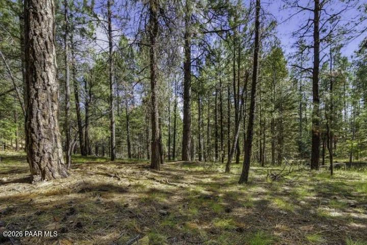 Property from 00 S Comstock Mine Road - KW