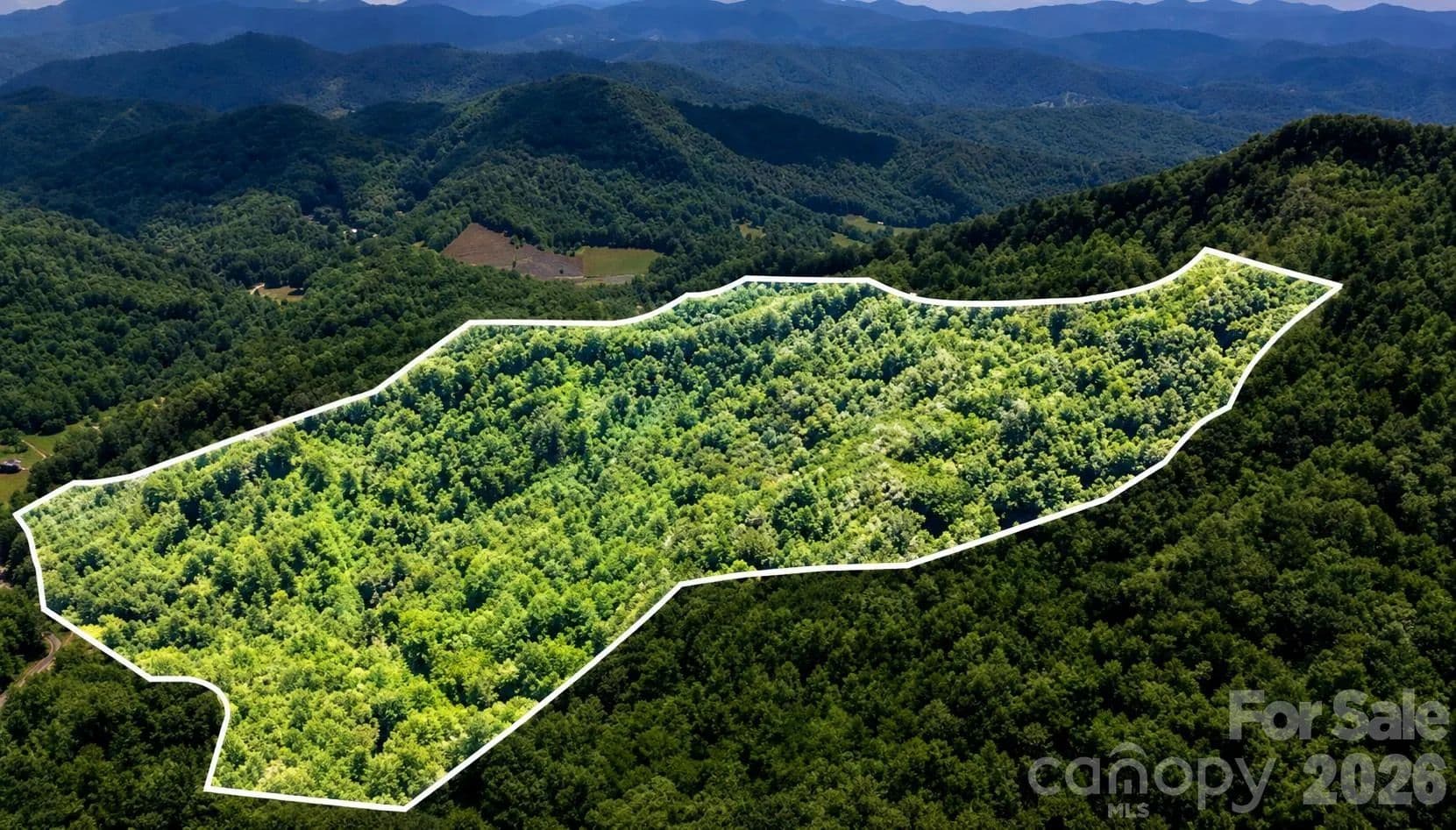 49.38 Acres of Land for Sale in Mars Hill, NC - Mars Hill, North Carolina, 28754