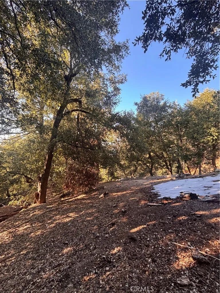 Vacant Land in Twin Peaks - Twin Peaks, California, 92391