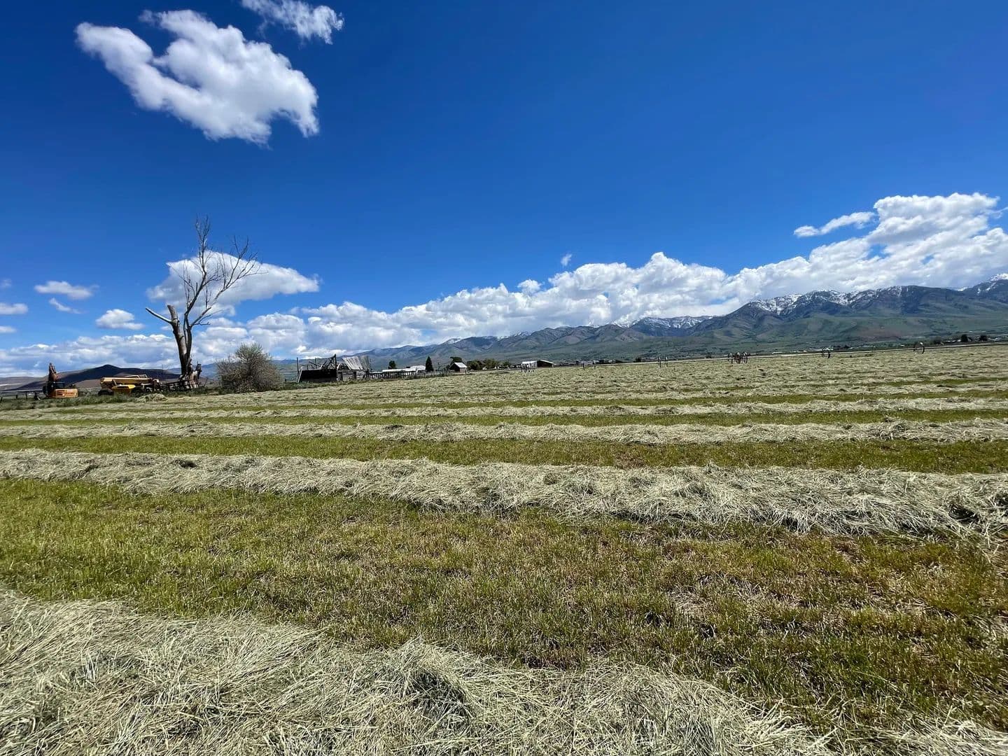Land -Agricultural (Not Zoned) in Lewiston - Lewiston, Utah, 84320