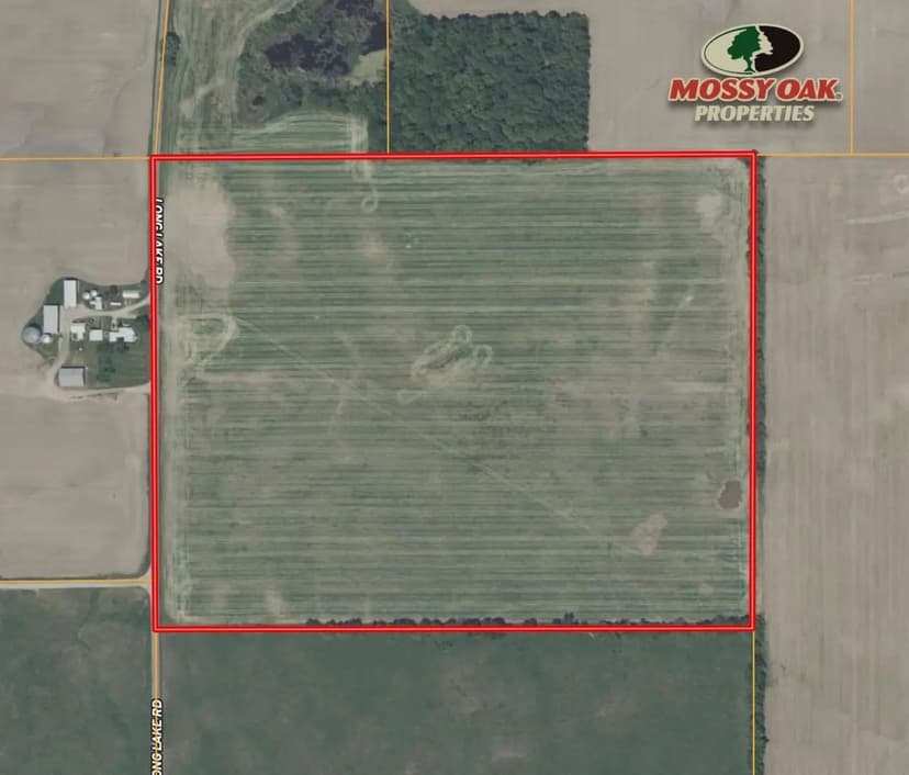 63 +/- TILLABLE ACRES / LONG LAKE RD READING, MI / HILLSDALE COUNTY / LAND FOR SALE