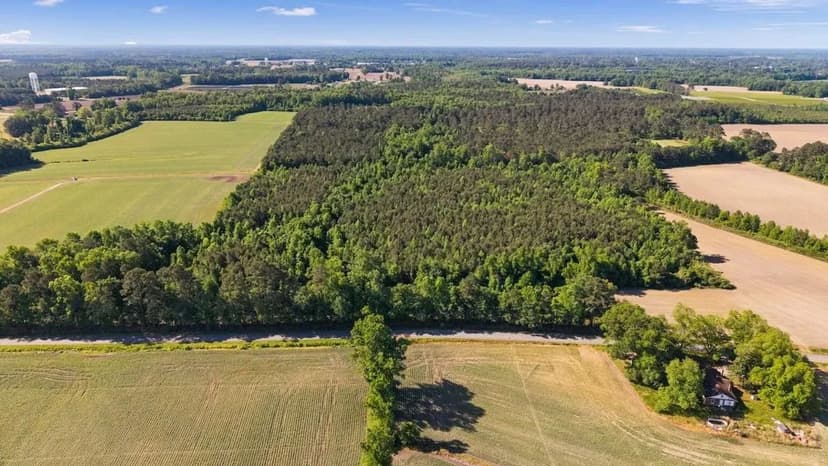 26 Acres of Recreational/Timberland for Sale in Duplin County, NC!