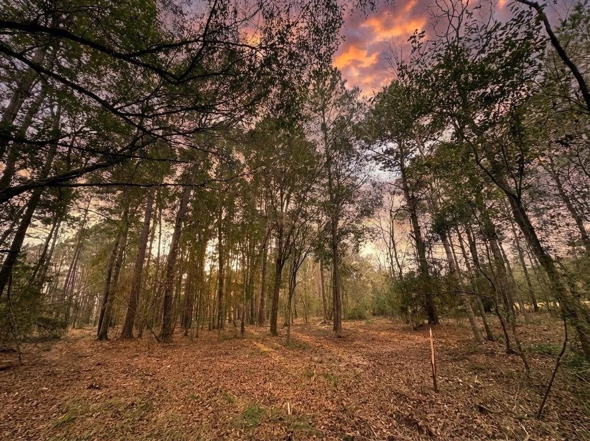 Lots & Land-Other in Dayton - Dayton, Texas, 77535
