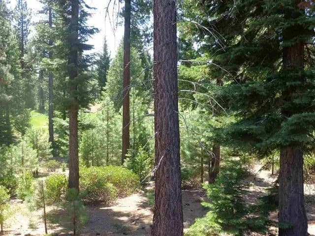 Vacant Land in Lake Almanor - Lake Almanor, California, 96137