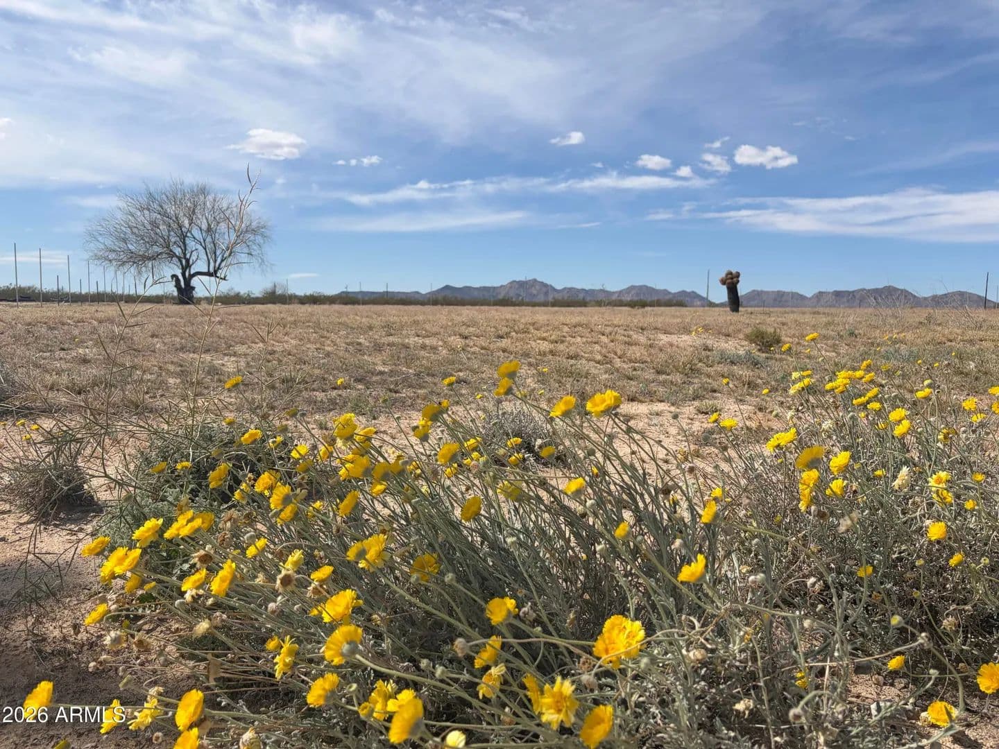Lots & Land-Other in Salome - Salome, Arizona, 85348