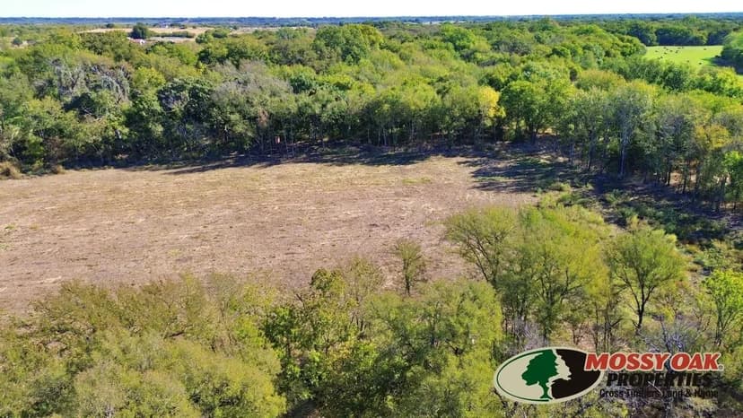 Metroplex Hunting Property