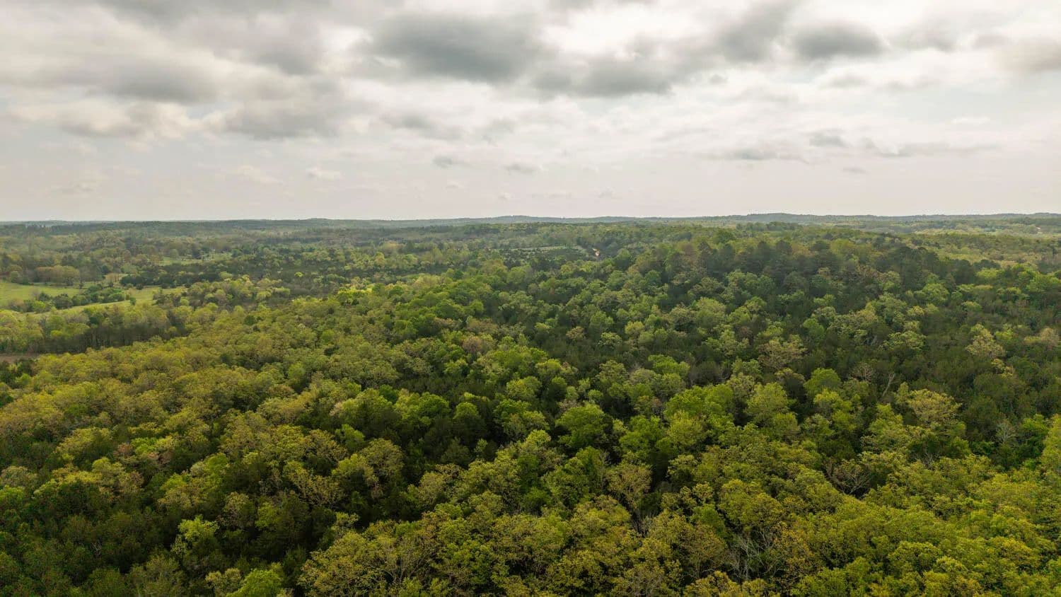 10.17 Acres of Land for Sale in Elizabeth, Arkansas - Elizabeth, Arkansas, 72531