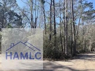 Vacant Land in Midway - Midway, Georgia, 31320