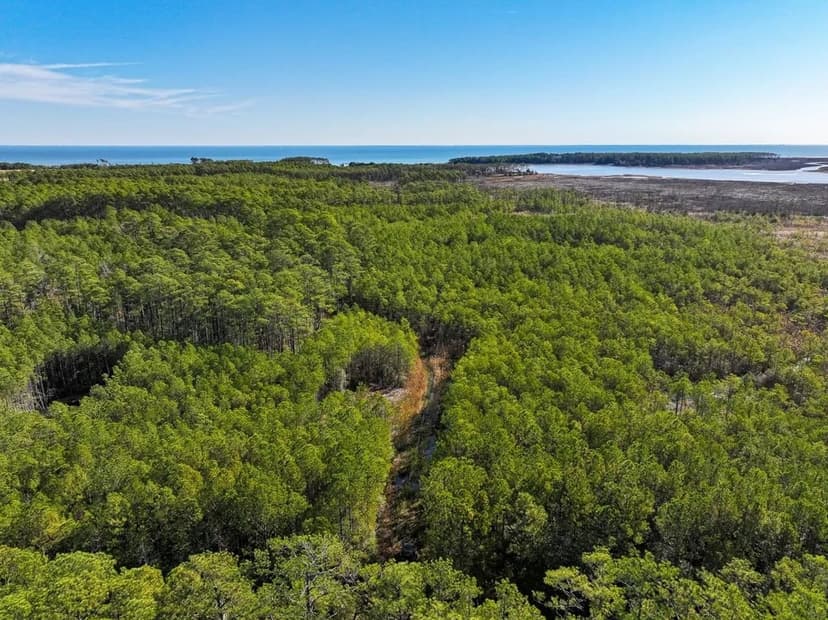 UNDER CONTRACT!!  248.118 Acres of Recreational, Residential, and Investment Land in Mathews County, VA!