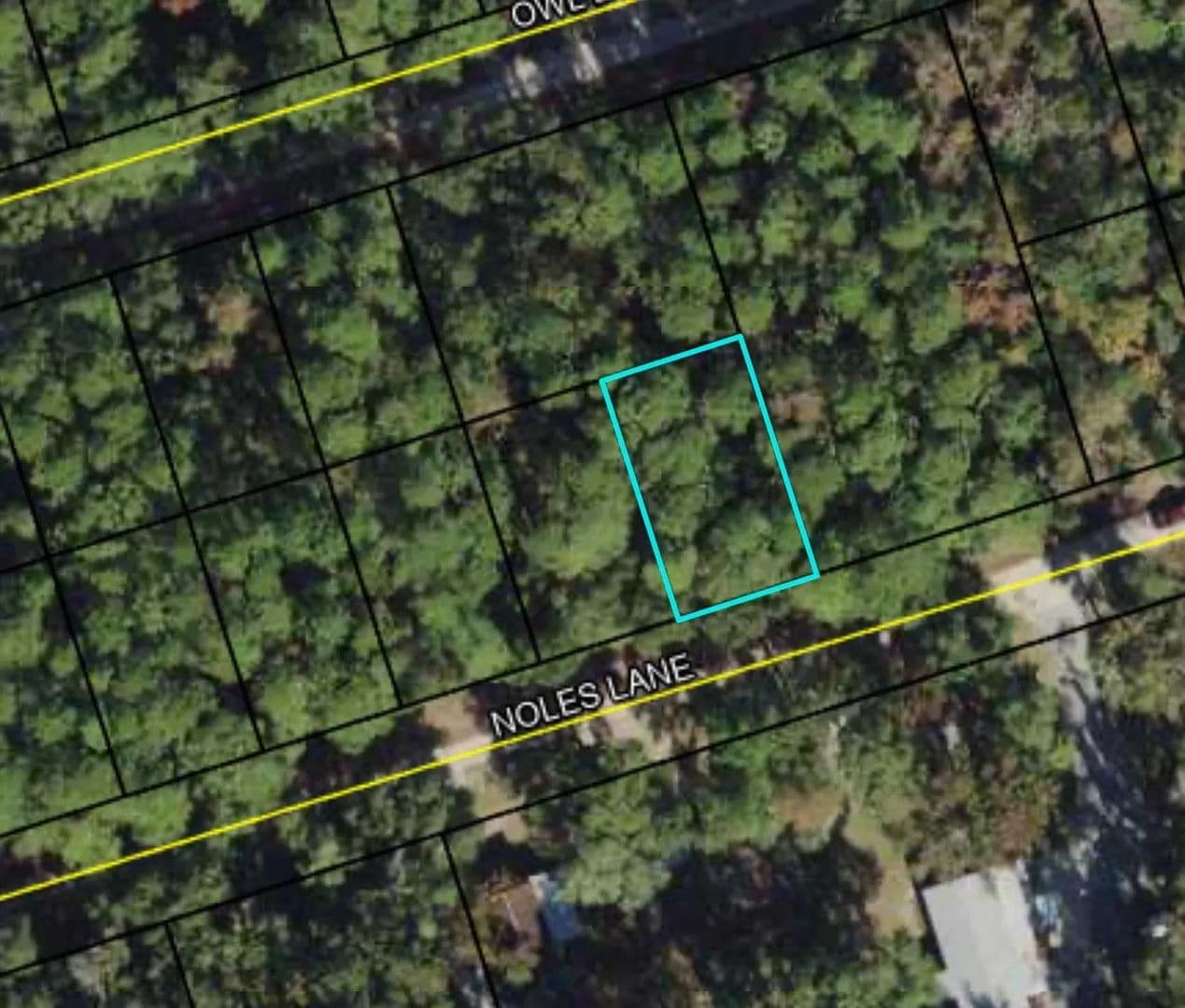 Property from Lot 39 Noles Lane #1 - KW - Crawfordville, Florida, 32327