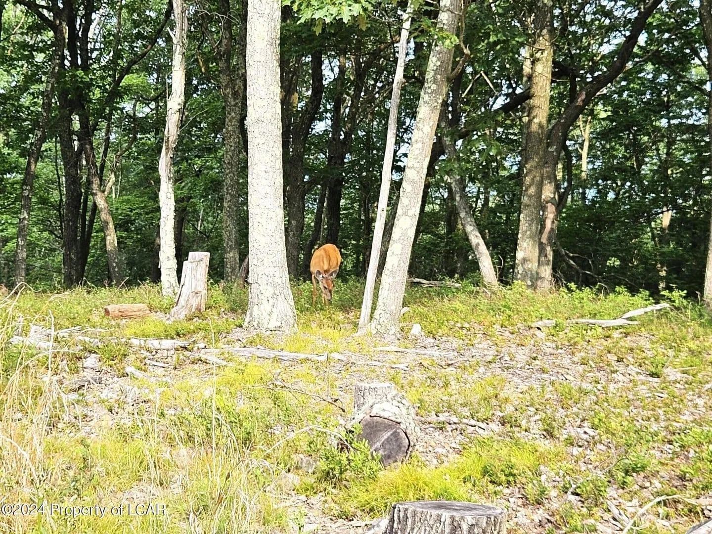 Lots & Land-Other in Hazle Twp - , Pennsylvania, 18202