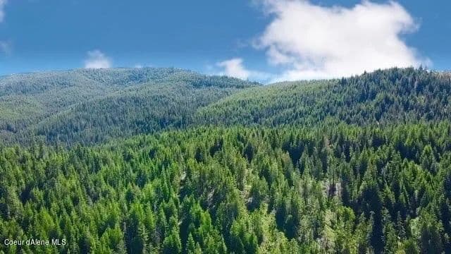 Property from 80 E Ridge (Tract 8) Drive - KW