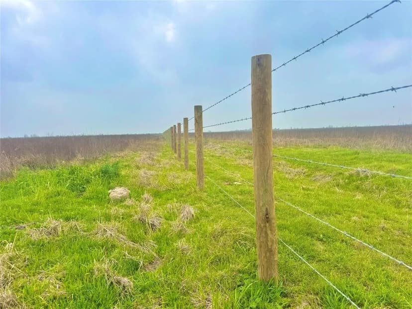 Property from TBD Tract 13 County Road 210 - KW