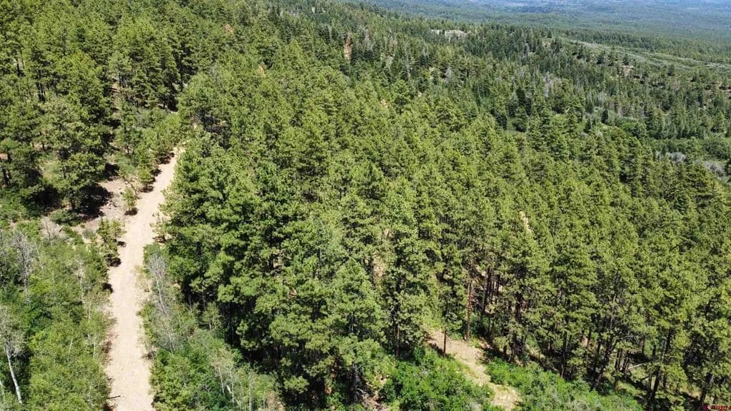 1.42 Acres of Land for Sale in Bayfield, CO - Bayfield, Colorado, 81122