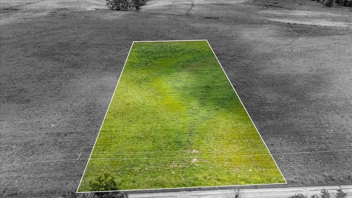Vacant Land in Leoma - Leoma, Tennessee, 38468