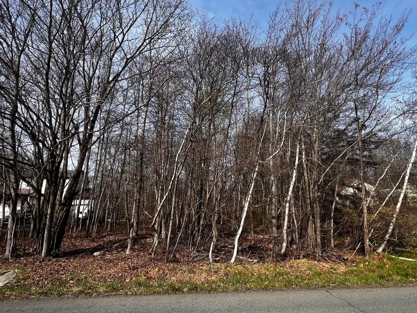 Vacant Land in Long Pond