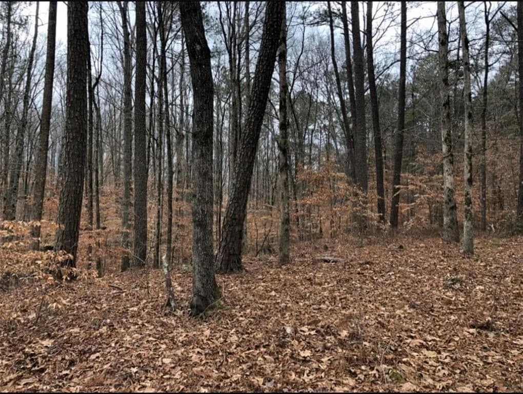 Vacant Land in Alpharetta - Alpharetta, Georgia, 30004