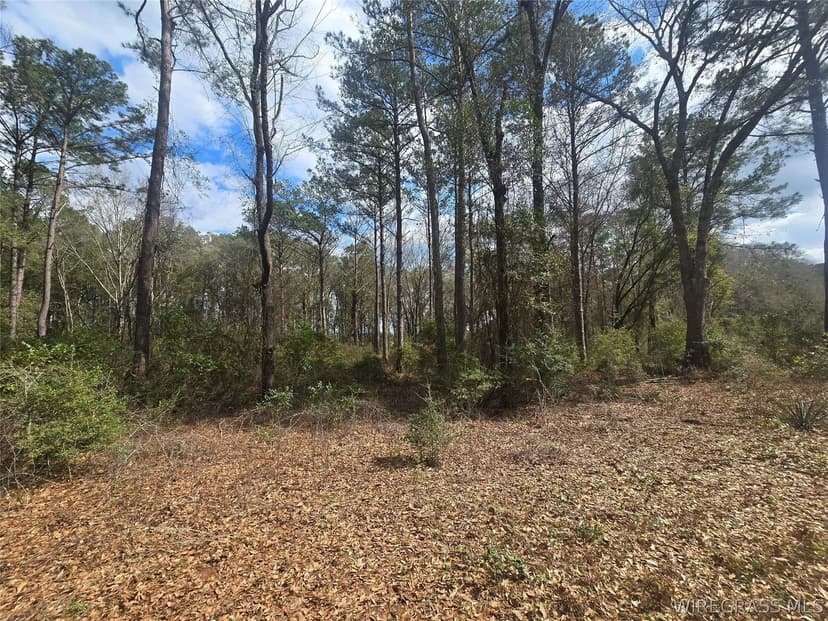 Vacant Land in Enterprise