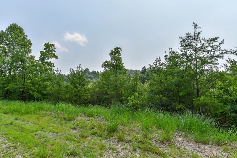 Vacant Land (0-10 Acres) in Marshall