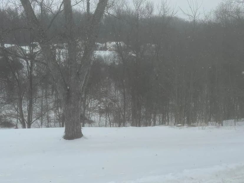 Lots & Land-Other in Wellston