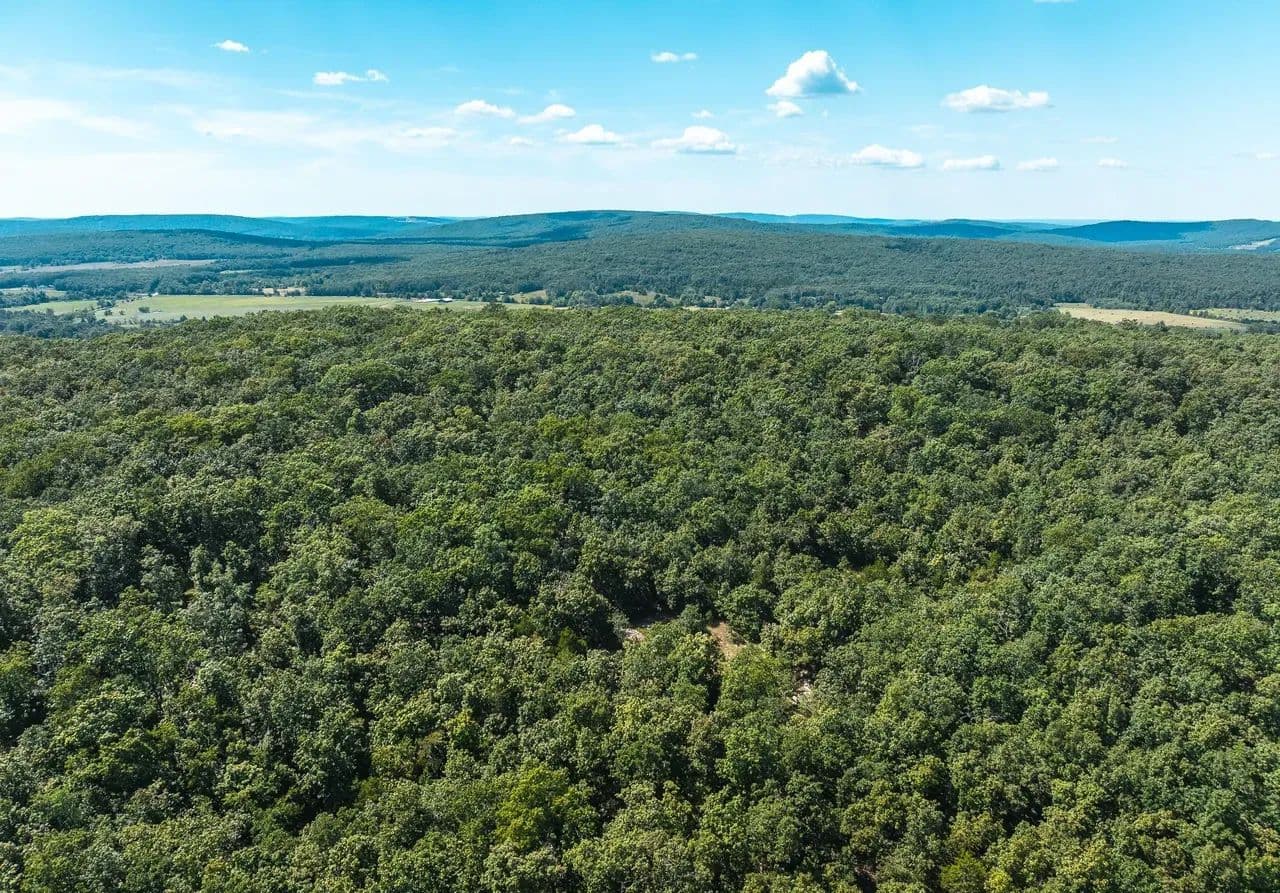 Buck Mountain Road Tract 6 - Farmington, Missouri, 63640