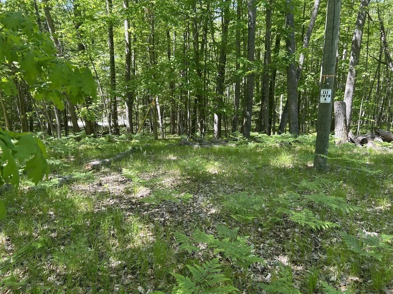 Property from 8297 Highland #349 - KW - Canadian Lakes, Michigan, 49346