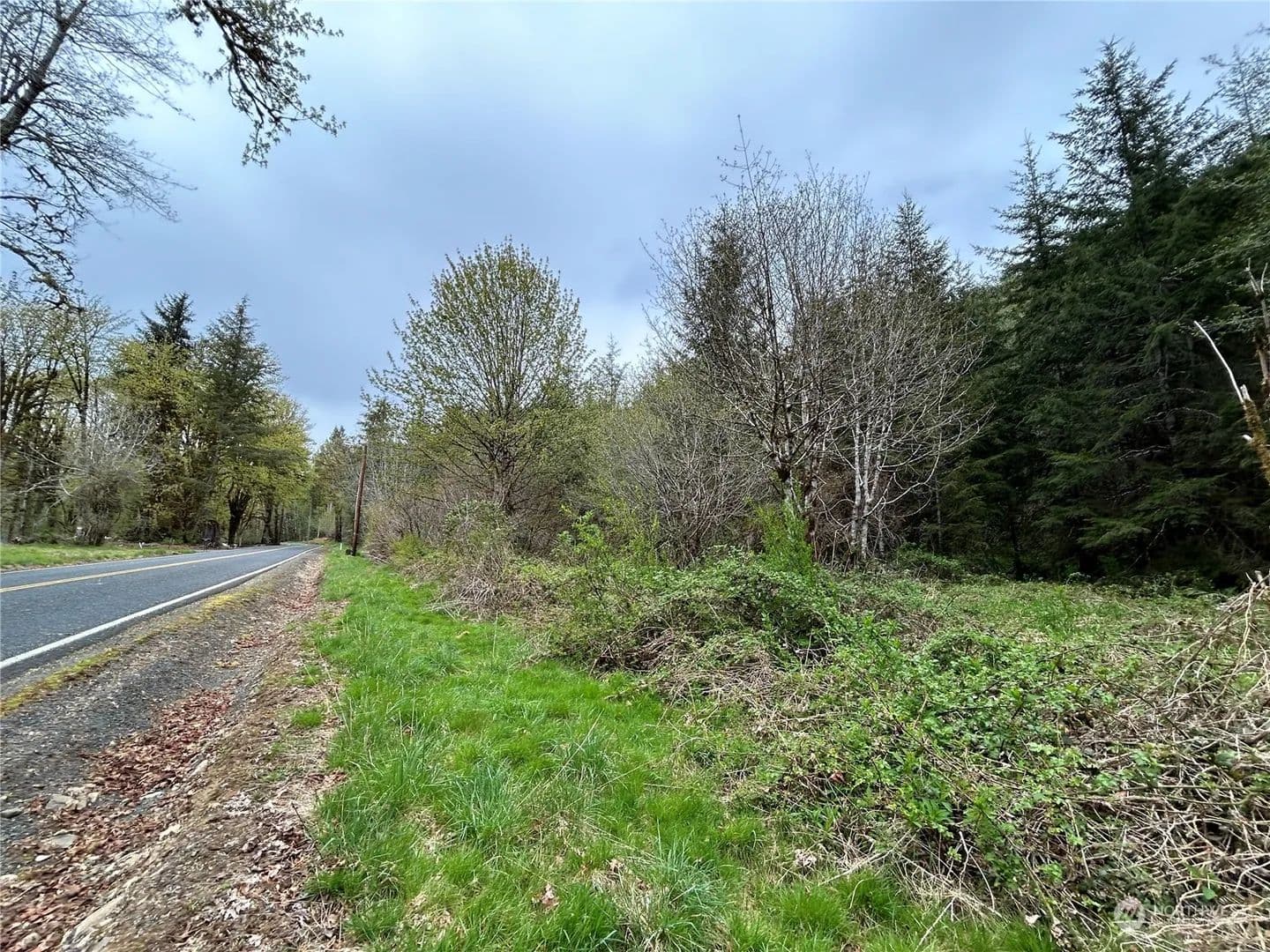 Vacant Land in Longview - Longview, Washington, 98632