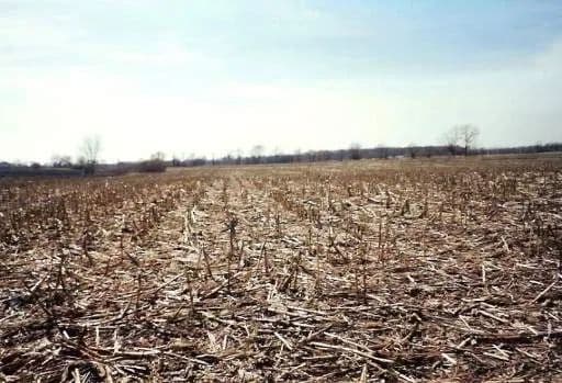 Vacant Land in West Chicago