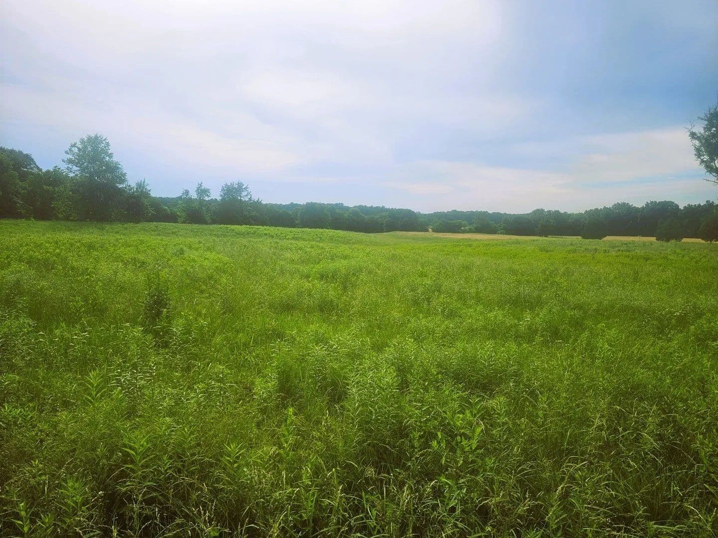 Lots & Land-Other in Opdyke - Opdyke, Illinois, 62872
