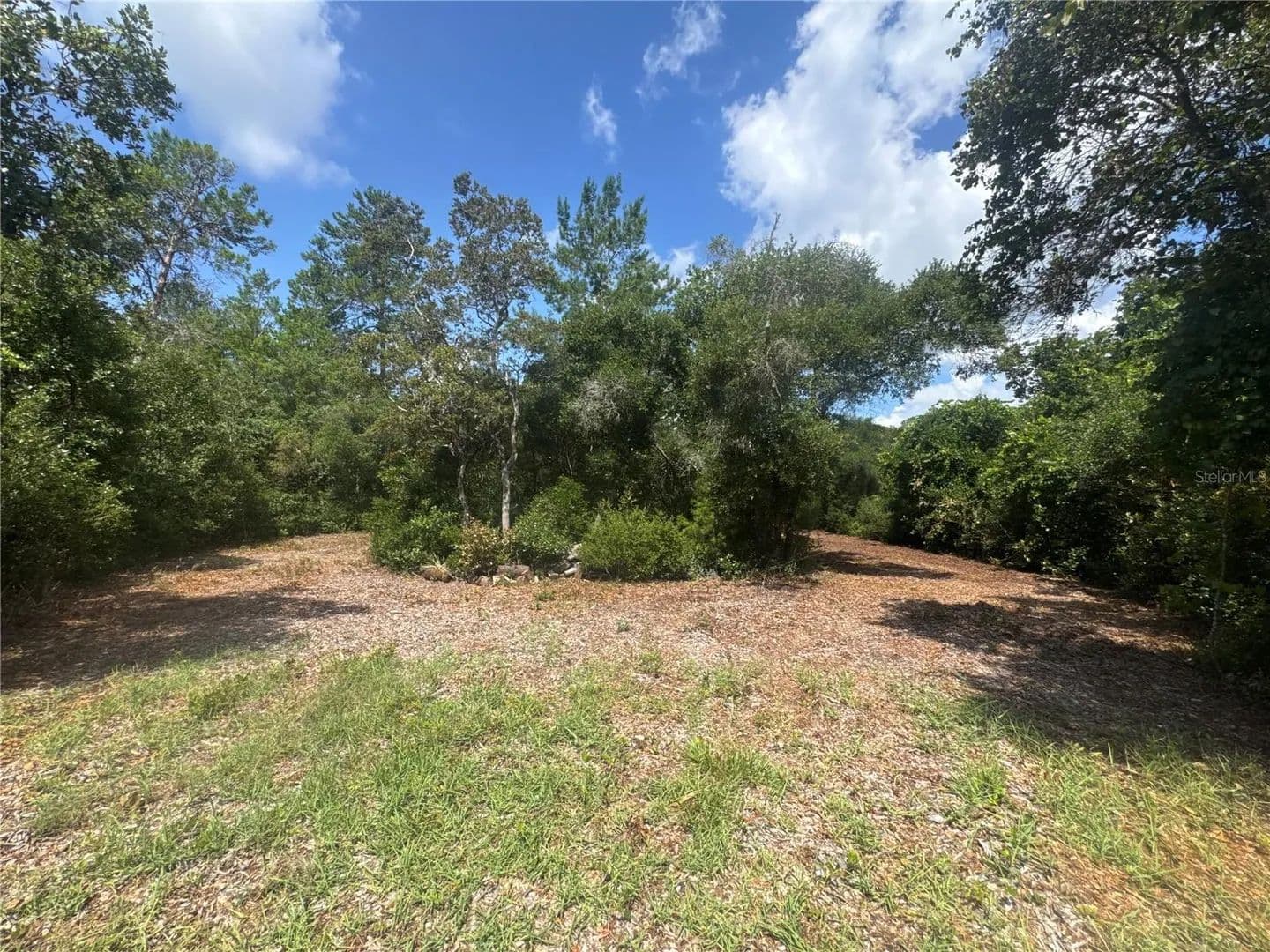 1.55 Acres of Land for Sale in PAISLEY, FL - Paisley, Florida, 32767