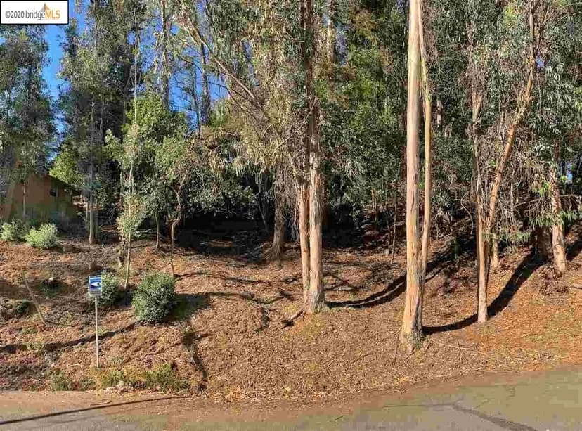 Vacant Land in Oakland
