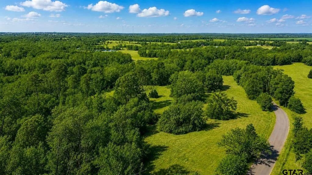 Vacant Land in Winnsboro - Winnsboro, Texas, 75494